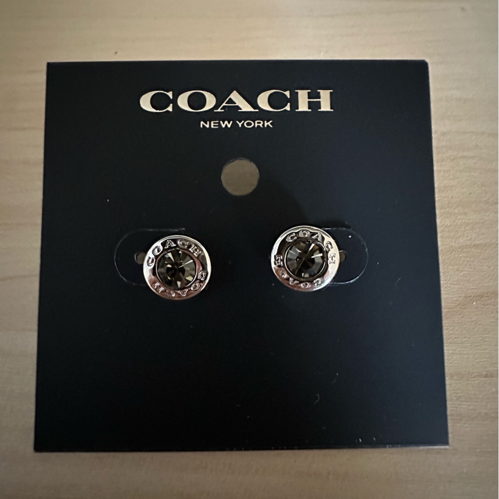 Silver and Black Stud Earrings